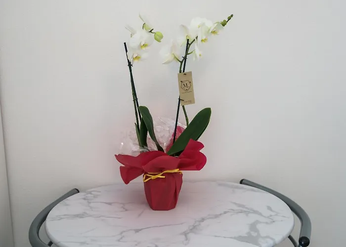 Apartment Casa Milly *