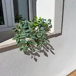 Casa Milly Apartment Olbia